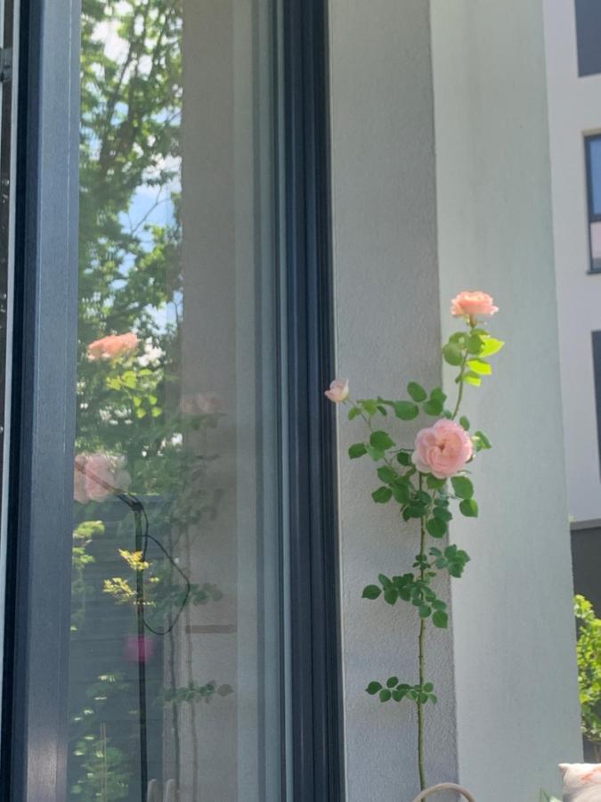 Garden Apartment Self Check-In - Bezkluczowy Dostep W 10 Minut O Kazdej Porze Cracóvia Exterior foto